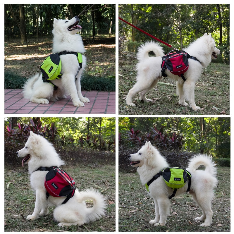 Dog Backpack