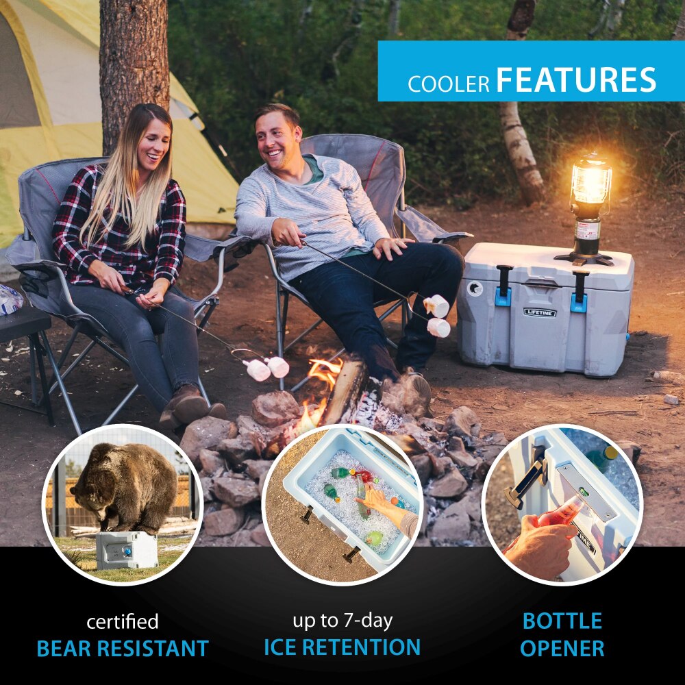 Portable cooler