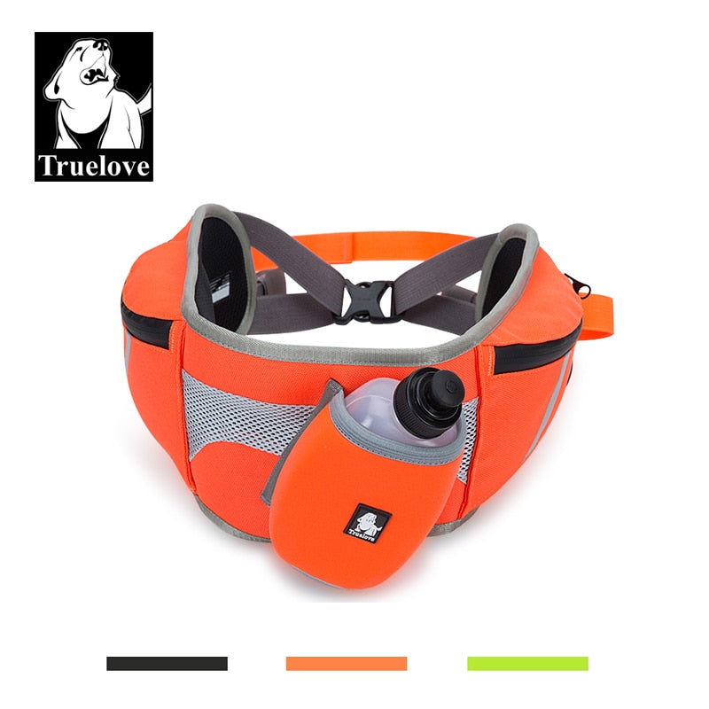 Dog Backpack