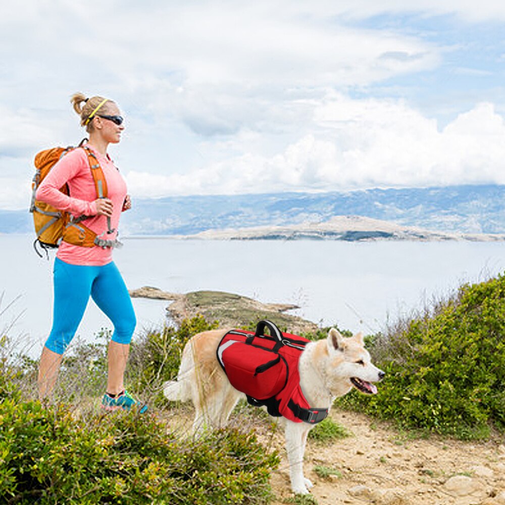 Dog BackPack