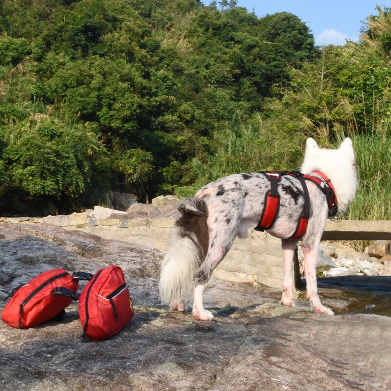 Dog Backpack