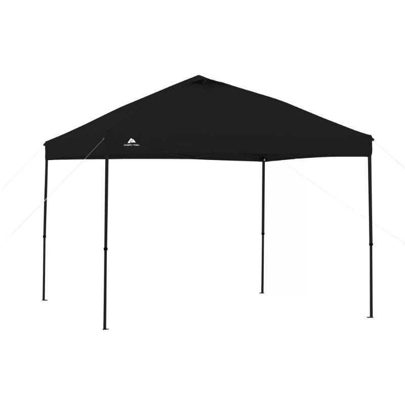 10' x 10' Instant Canopy