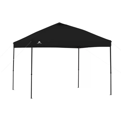 10' x 10' Instant Canopy