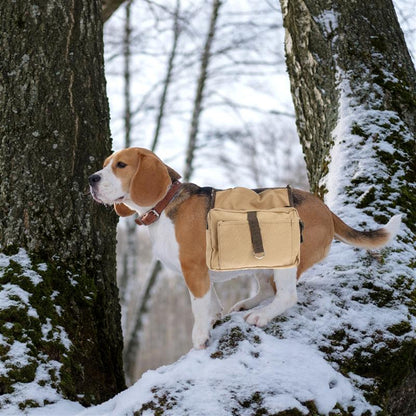 Dog Backpack