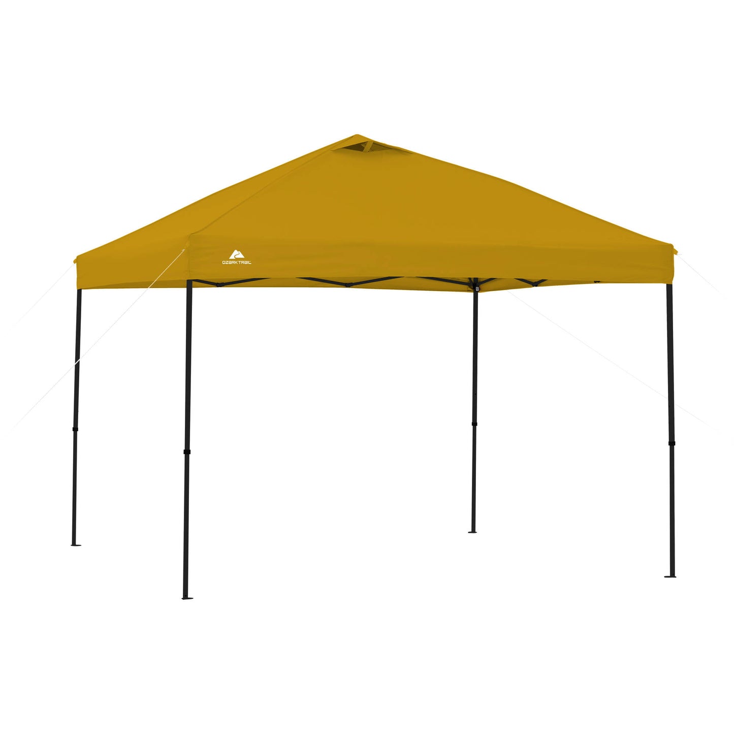 10' x 10' Instant Canopy