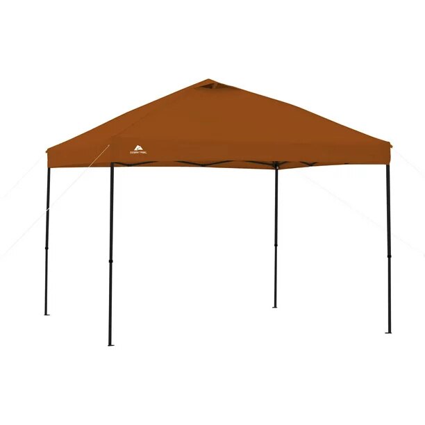 10' x 10' Instant Canopy