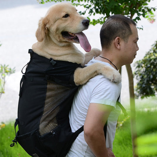 Large Dog Carrier
